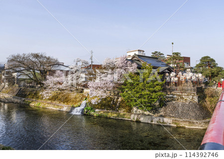 桜満開の飛騨高山(2024年)中橋より望む 桜満開の飛騨高山(2024年)中橋より望む 114392746