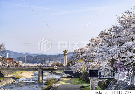 桜満開の飛騨高山(2024年) 114392777