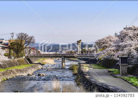 桜満開の飛騨高山(2024年) 114392783