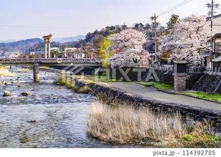 桜満開の飛騨高山(2024年) 114392785