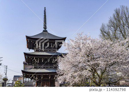 高山 飛騨国分寺の桜と三重塔 高山 飛騨国分寺の桜と三重塔 114392798