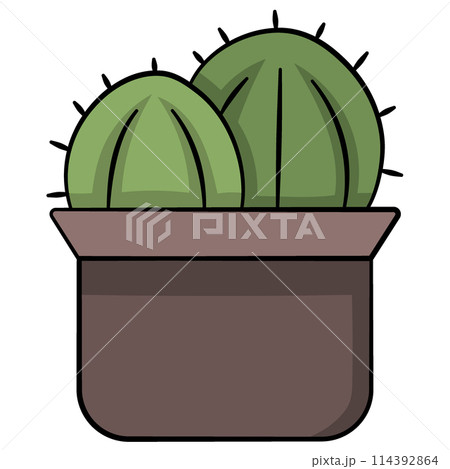 Lush round cactus planted in a pot Lush round cactus planted in a pot 114392864