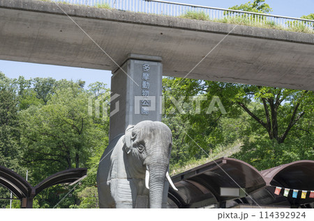 多摩動物公園入口 114392924