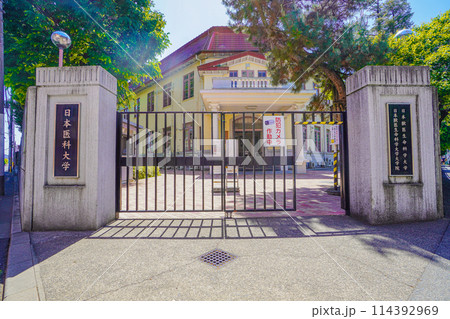 日本獣医生命科学大学 114392969