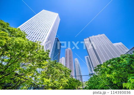 日本の東京都市景観　新宿副都心のオフィスビル群などを望む＝4月28日 114393036