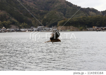 海の京都　伊根町　舟屋群 114393164