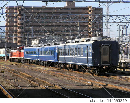 ムーンライト松山（松山駅） 114393259