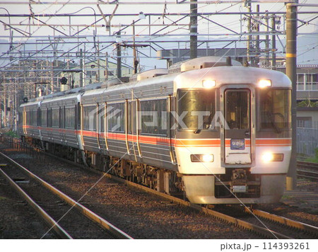 373系ムーンライトながら 114393261