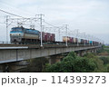 EF66 100番台（後期型）貨物列車 114393273