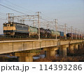 EF65 PF 国鉄色 専用貨物列車 114393286