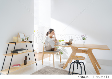 パソコンを見て落ち込む女性 パソコンを見て落ち込む女性 114393413