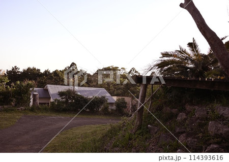 キャンプ場の朝 114393616