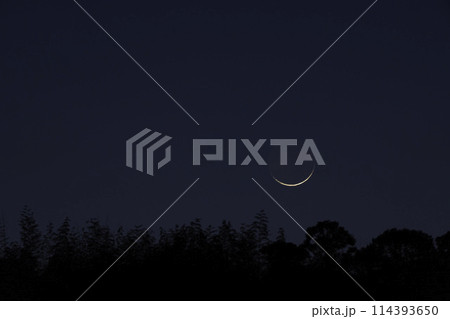 三日月 三日月 114393650