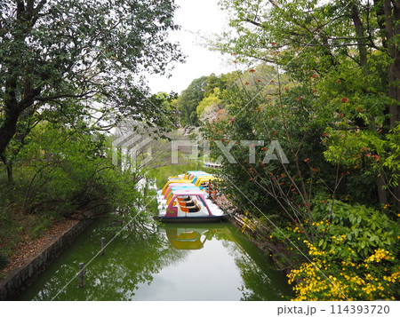 善福寺公園 善福寺公園 114393720