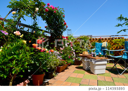 天気は晴れ 青空の下、カラフルなバラが咲くバルコニー 最高な休日 天気は晴れ 青空の下、カラフルなバラが咲くバルコニー 最高な休日 114393893