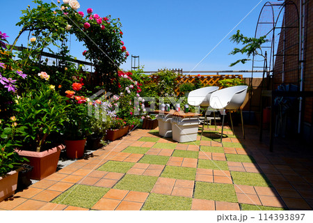 天気は晴れ 青空の下、バラとクレマチスが咲くバルコニー 最高な休日 天気は晴れ 青空の下、バラとクレマチスが咲くバルコニー 最高な休日 114393897
