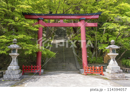 新緑の季節　談山神社　境内鳥居 114394057