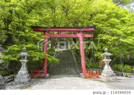 新緑の季節　談山神社　境内鳥居 114394059