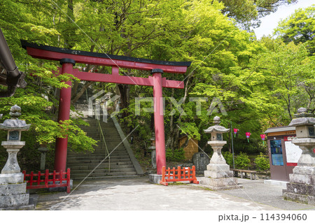 新緑の季節　談山神社　境内鳥居 114394060