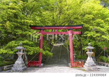 新緑の季節 談山神社 境内鳥居 新緑の季節 談山神社 境内鳥居 114394064