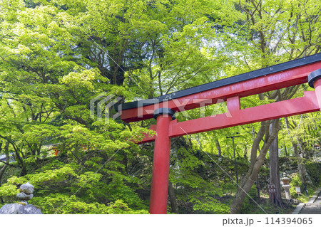 新緑の季節 談山神社 境内鳥居 新緑の季節 談山神社 境内鳥居 114394065
