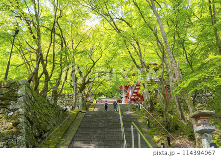 新緑の季節　談山神社　拝殿・ 楼門・東西透廊 114394067