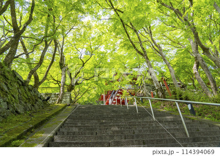 新緑の季節 談山神社 拝殿・ 楼門・東西透廊 新緑の季節 談山神社 拝殿・ 楼門・東西透廊 114394069