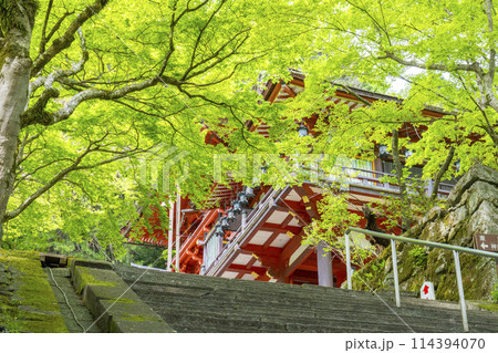新緑の季節　談山神社　拝殿・ 楼門・東西透廊 114394070