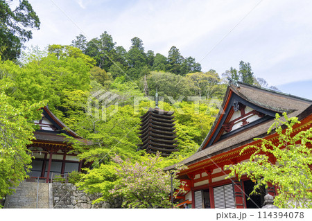 新緑の季節　談山神社　権殿・十三重塔・神廟拝所 114394078