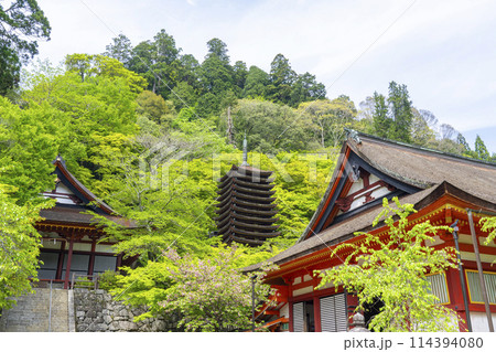 新緑の季節 談山神社 権殿・十三重塔・神廟拝所 新緑の季節 談山神社 権殿・十三重塔・神廟拝所 114394080