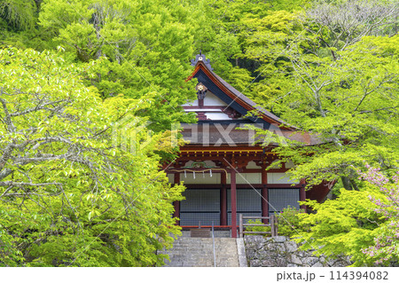 新緑の季節　談山神社　権殿 114394082