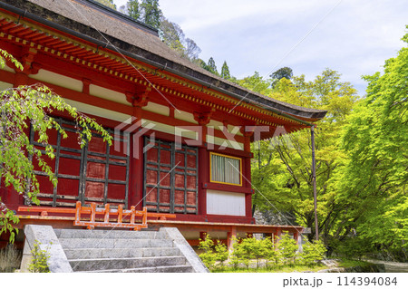 新緑の季節　談山神社　神廟拝所 114394084