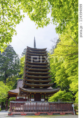 新緑の季節 談山神社 十三重塔(神廟) 新緑の季節 談山神社 十三重塔(神廟) 114394099