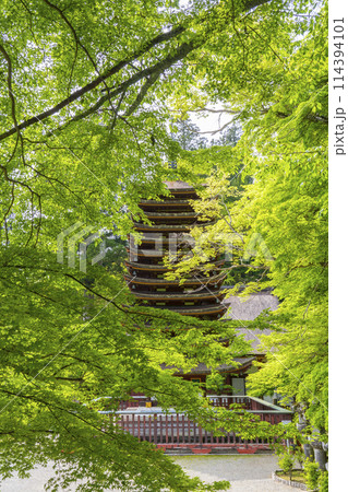 新緑の季節　談山神社　十三重塔（神廟） 114394101