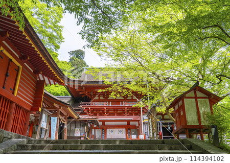 新緑の季節　談山神社　楼門 114394102
