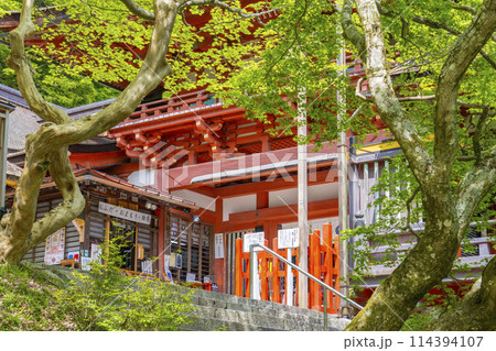新緑の季節　談山神社　楼門 114394107