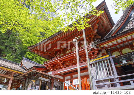 新緑の季節　談山神社　楼門 114394108