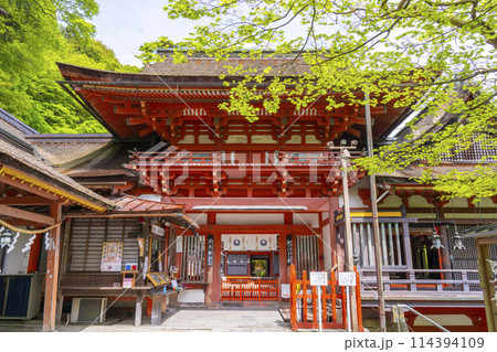 新緑の季節　談山神社　楼門 114394109