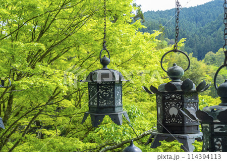新緑の季節　談山神社　吊り灯籠 114394113