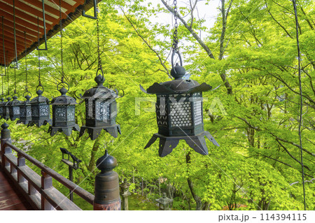新緑の季節　談山神社　吊り灯籠 114394115