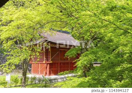 新緑の季節 談山神社 東宝庫 新緑の季節 談山神社 東宝庫 114394127