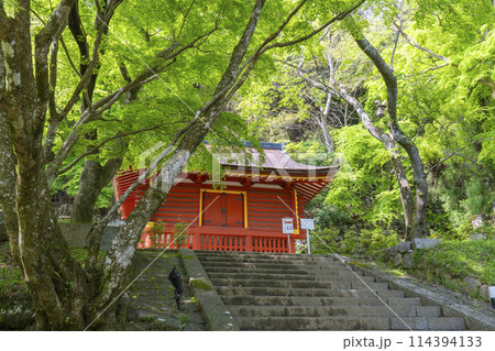 新緑の季節 談山神社 東宝庫 新緑の季節 談山神社 東宝庫 114394133