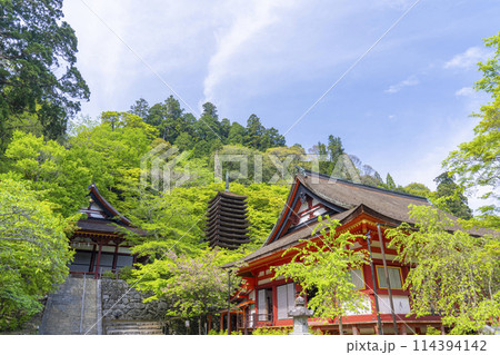 新緑の季節 談山神社 権殿・十三重塔・神廟拝所 新緑の季節 談山神社 権殿・十三重塔・神廟拝所 114394142
