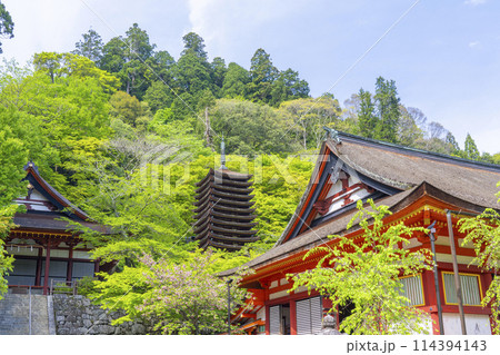 新緑の季節 談山神社 権殿・十三重塔・神廟拝所 新緑の季節 談山神社 権殿・十三重塔・神廟拝所 114394143