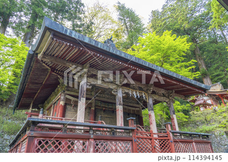 新緑の季節　談山神社　総社本殿 114394145