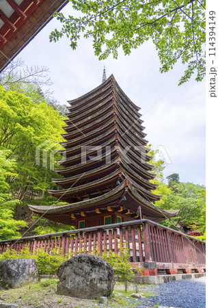 新緑の季節　談山神社　十三重塔（神廟） 114394149