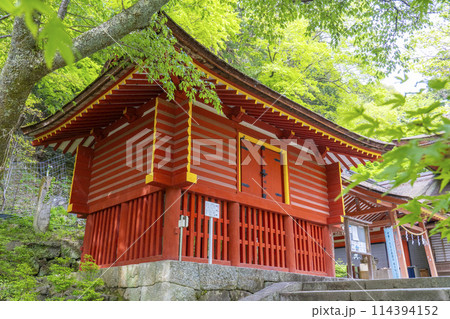 新緑の季節 談山神社 西宝庫 新緑の季節 談山神社 西宝庫 114394152