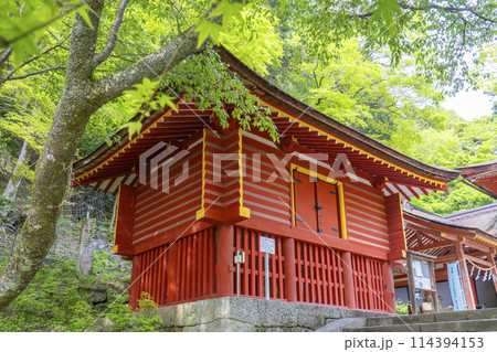 新緑の季節 談山神社 西宝庫 新緑の季節 談山神社 西宝庫 114394153