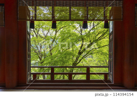 新緑の季節　談山神社　拝殿から見える美しい新緑 114394154