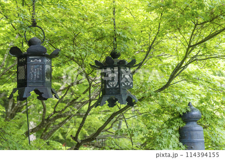 新緑の季節　談山神社　吊り灯籠 114394155